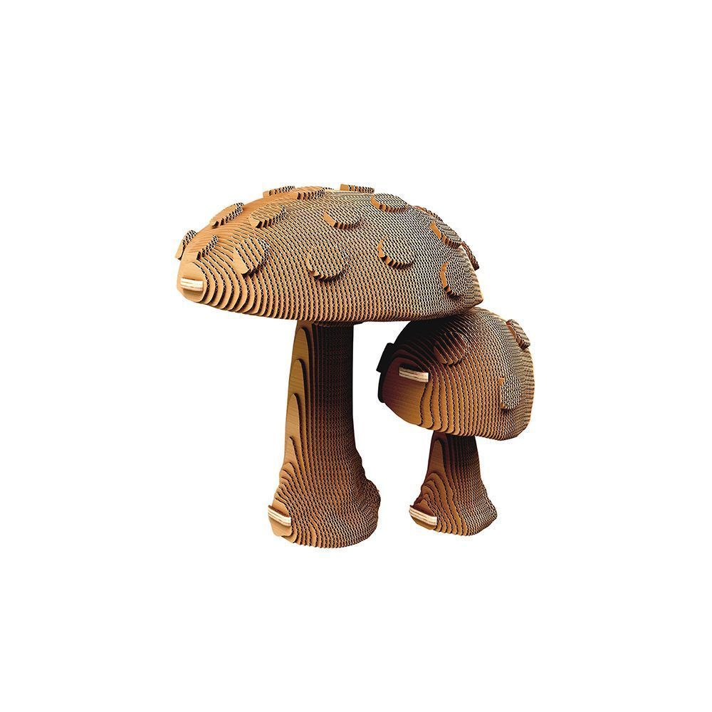 Mushrooms_2