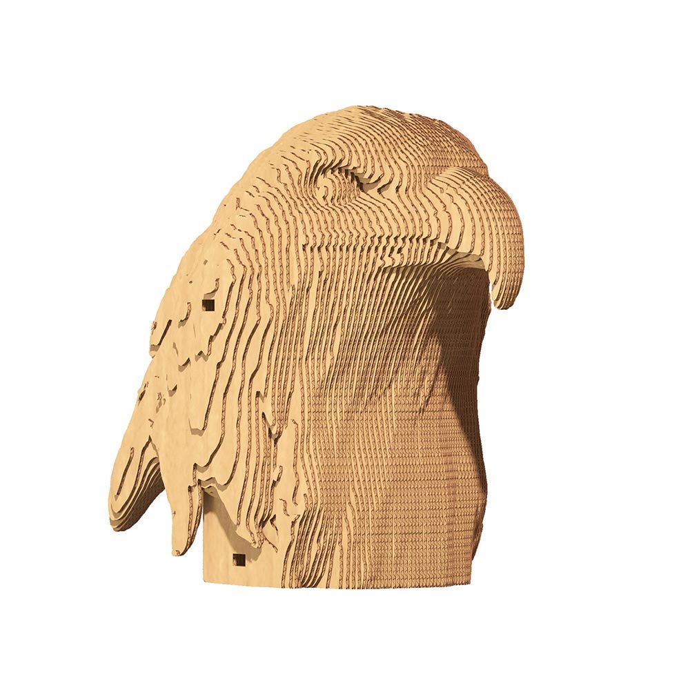 07-cc-eagle-1000x1000