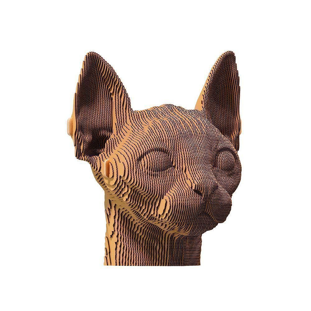 02-cc-Sphynx-cat-1000x1000
