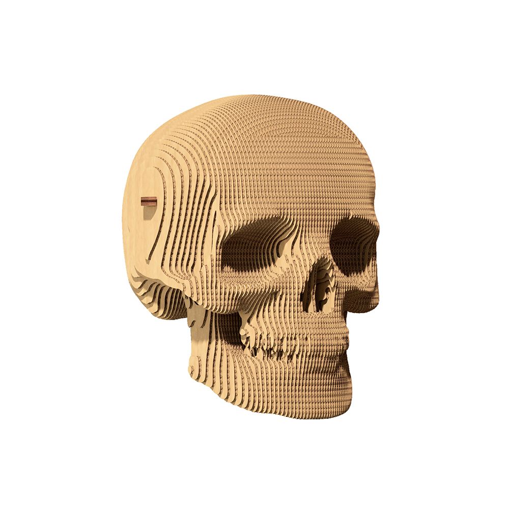 06-cc-skull-1000x1000