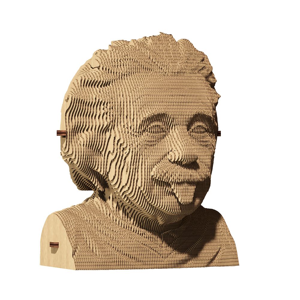 06-cc-einstein -1000x1000