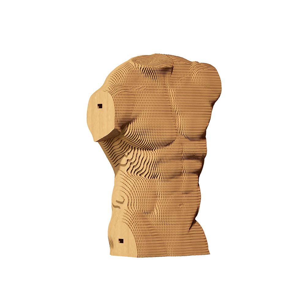 Male_Torso_4