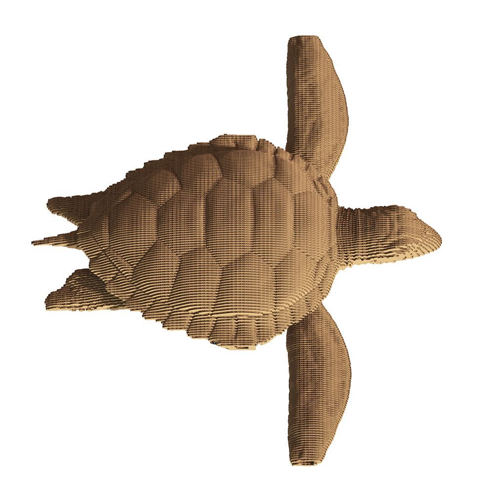 08-cc-turtle -1000x1000