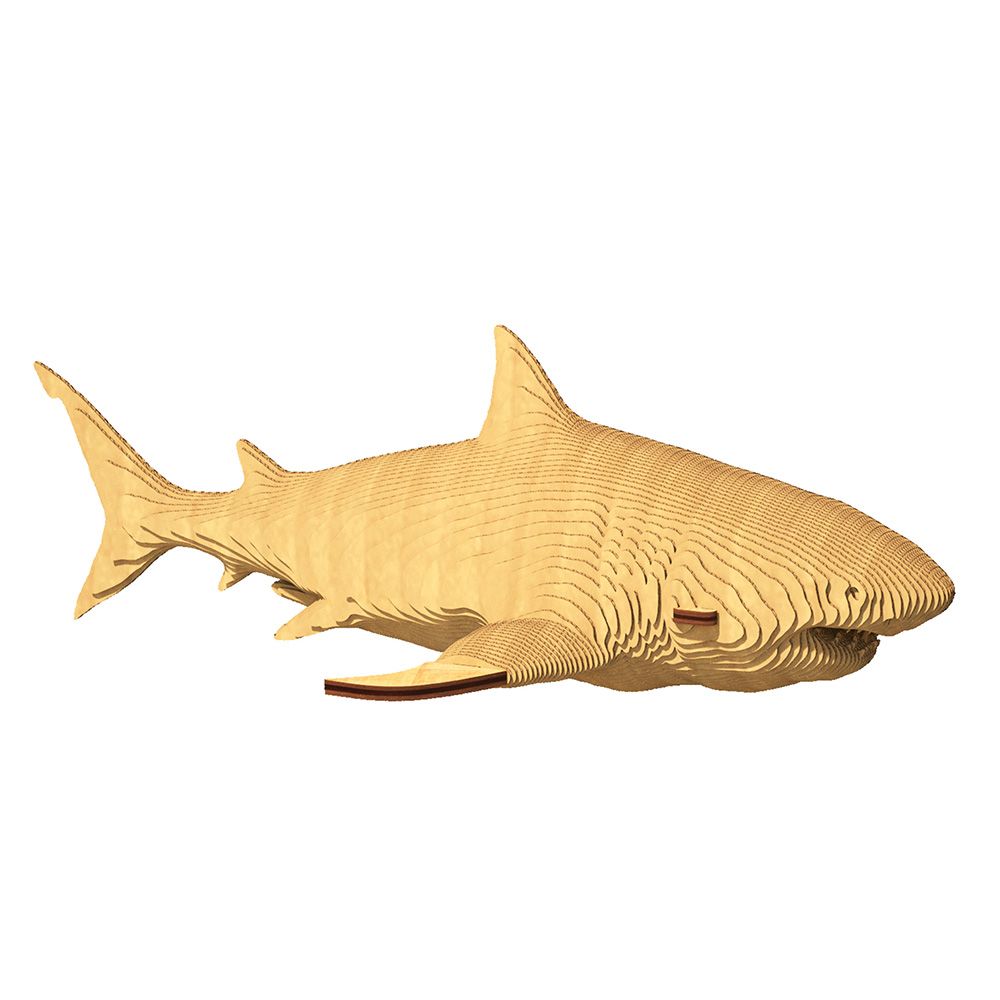 05-cc-shark-1000x1000