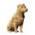 Картонний конструктор "Cartonic 3D Puzzle PATRON, THE DOG"